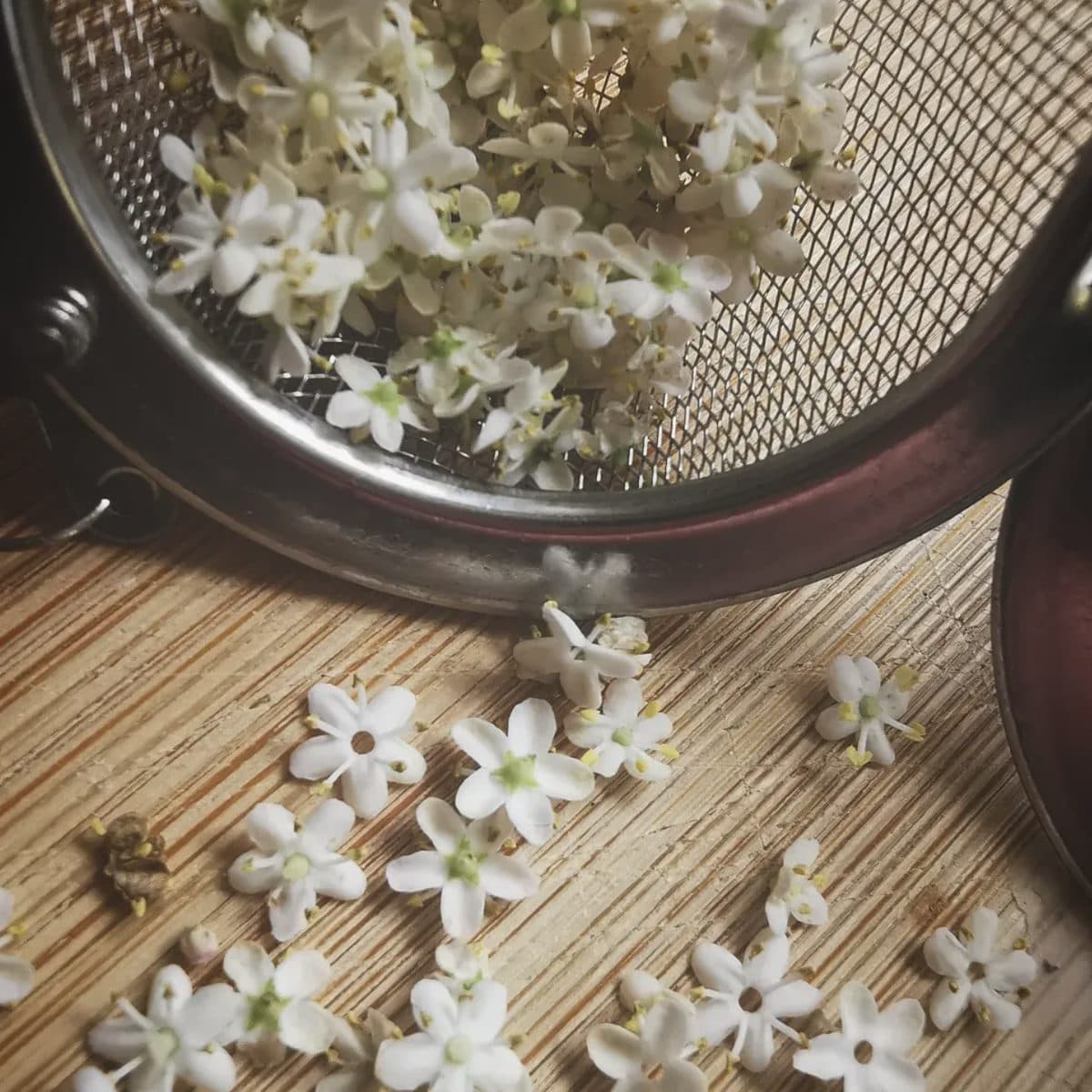 Hand-foraged elderflowers in an old sieve, fallen petals on linen