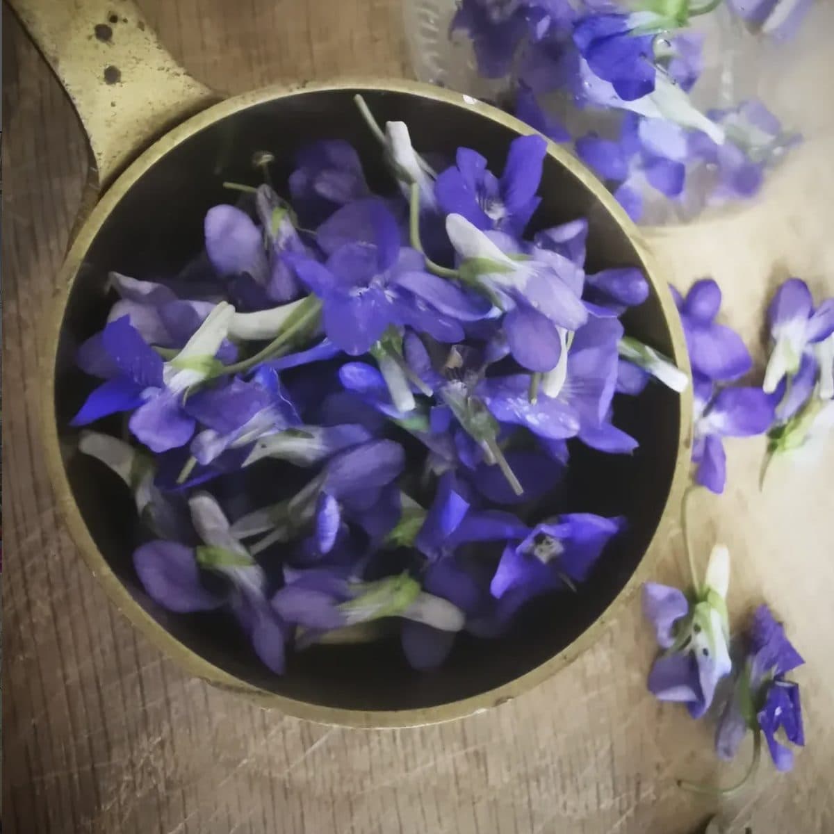 Hand-foraged wild violets gathered in a small brass cup